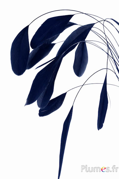 Coquetip - 20-25 cm - blu notte